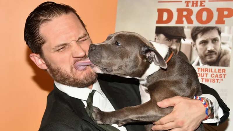Tom Hardy ve Köpeği